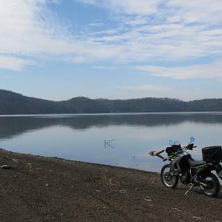 Tellico shoreline