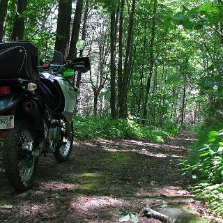 This was a long, rough trail at times. I entered it off of West Buffalo Creek and ended up coming out on the Cherohala parkway just under Hopper Bald.