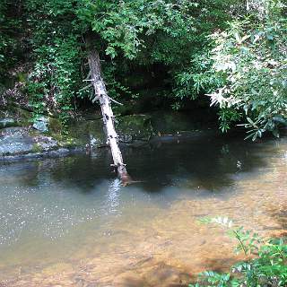 Big Snowbird Creek