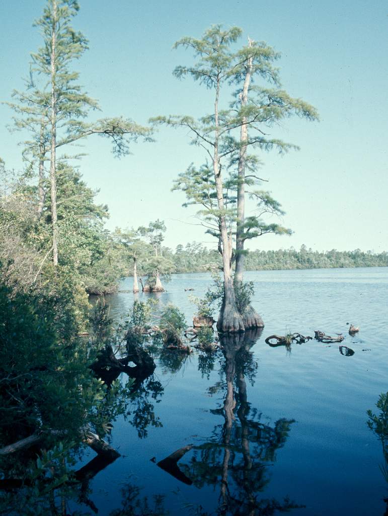 1974-OuterBanks-19