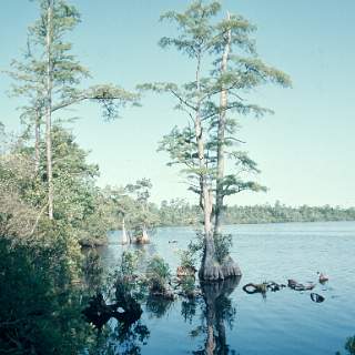 1974-OuterBanks-19