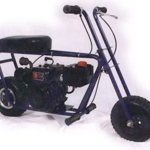 The mighty Wren. Built from a kit it sported a mighty 3.5 HP Briggs. It would fly if you held your finger on the govenour, that is until the rod came through the crankcase. Lots of good memories running up and down our long gravel driveway though. I found this example on the Internet but mine was just like it.