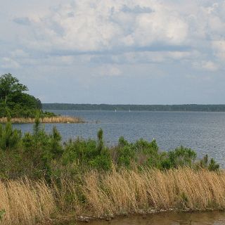 Hartwell Lake