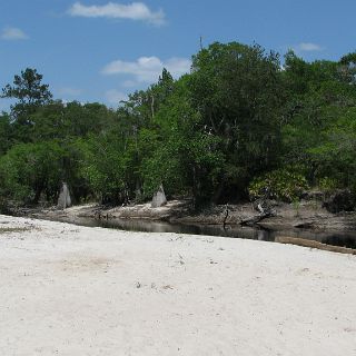 On the Suwannee