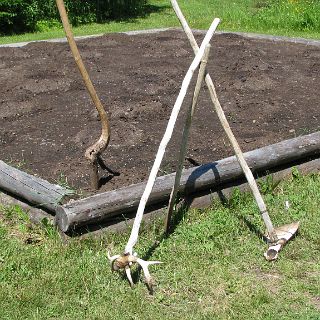 Crafty use of bones. : Alan