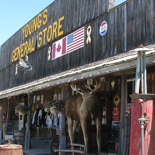 Note stuffed moose on porch.