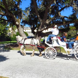 At the Jekyll Island Club : Camping, Okefenokee trip