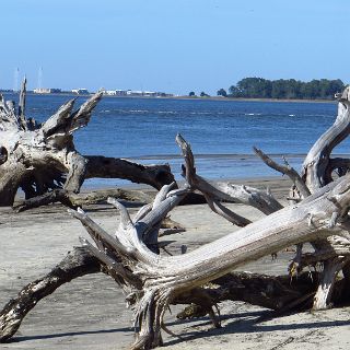 Northern beach of Jekyll Island   at clam creek : Camping, Okefenokee trip