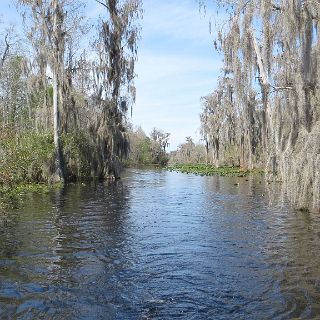 In the Okefenokee : Camping, Okefenokee trip