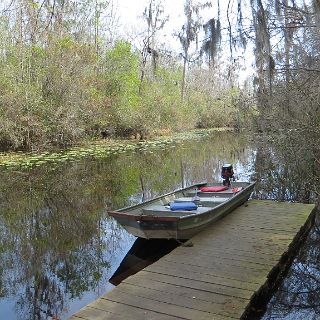 In the Okefenokee - our ship : Camping, Okefenokee trip