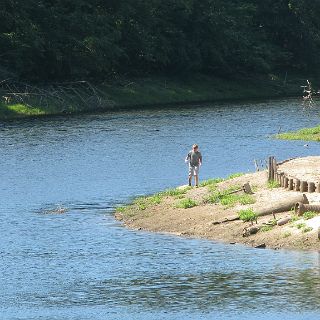 Record low water levels on Byrd lake have rendered the swimming beach completely dry.