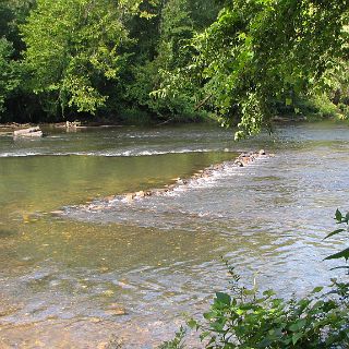 A fish trap constructed many years ago by native americans.