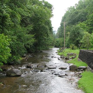 At Roan Mountain State Park visitor center