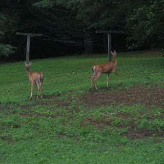 Highway obstacles.