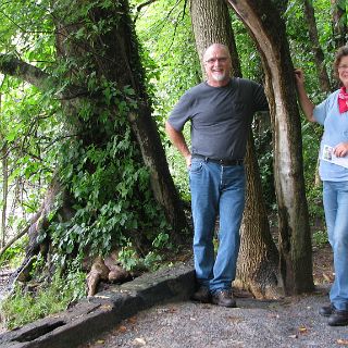 Along the Watauga - Sycamore Shoals State Park.