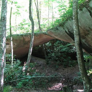 A natural bridge - pretty common in this area.