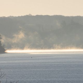 Morning scene on Kentucky Lake