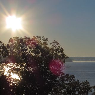 Morning scene on Kentucky Lake