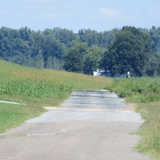 Small single lane roads run miles along the levees.