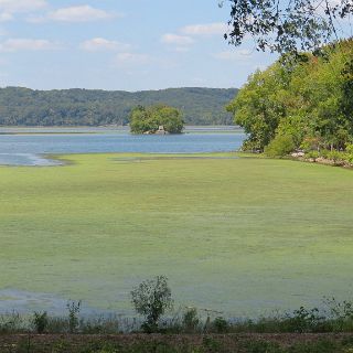 Where the old railroad trestle crossed the tennessee