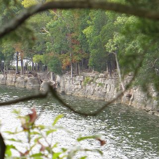 Limestone bluffs along Percy Priest Lake  at Long Hunter SP