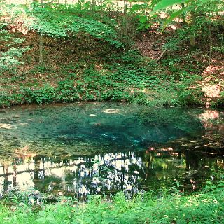 The Blue Hole spring at Red Clay - Cherokee Council grounds.