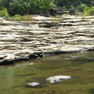 Heavily worn riverbed of Piney Creek