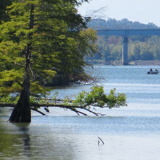 Hwy 412 bridge across the Tennesseee