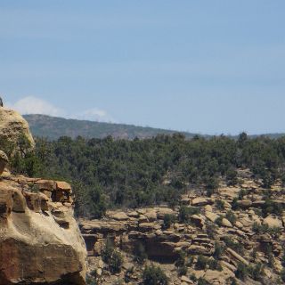 Ancient Pueblo ruins at Mesa Verde, NP. Hiking to the Balcony House