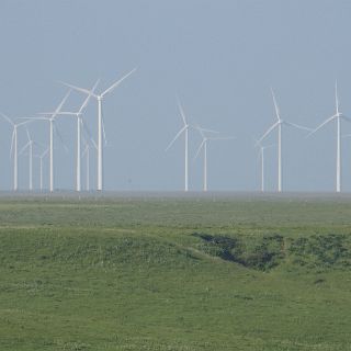 A new kind of crop in eastern Kansas