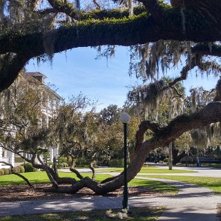 At the Jekyll Island Club : Okefenokee trip