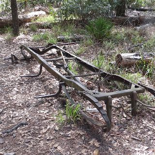 In the Okefenokee. An old A-model frame on Billy's Island. Remains of an old logging camp. : Camping, Okefenokee trip