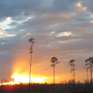 Okefenokee relections  -  last evening in the Okefenokee : Camping, Okefenokee trip