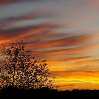 A great morning to start a tour. : SunRise