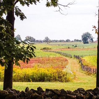 At Gettysburg Battle Park : Motorcycle, Riding, Touring