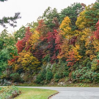 Along the Blue Ridge : Motorcycle, Mountian Scene, Riding, Touring