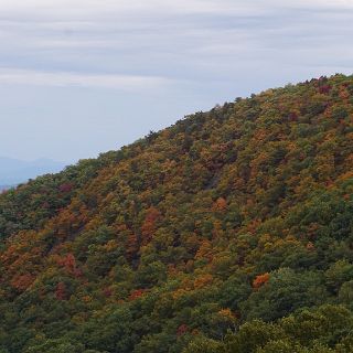 Along the Blue Ridge