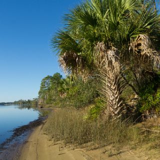 Ochlockonee River : Ochlockonee trip