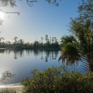 Ochlockonee River : Ochlockonee trip