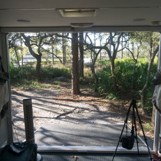 We were able to open the back door to let in the river scene : Ochlockonee trip