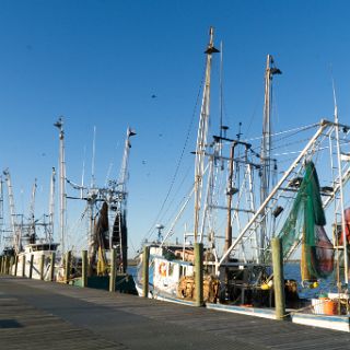 Shrimpboats at  Apalachicola : Ochlockonee trip