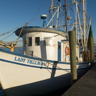 Shrimpboats at  Apalachicola : Ochlockonee trip