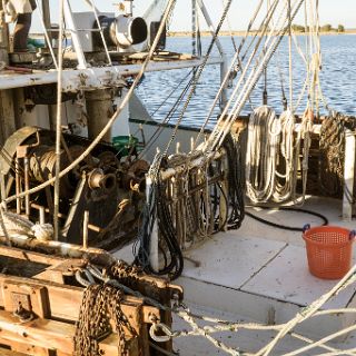 Shrimpboats at  Apalachicola : Ochlockonee trip