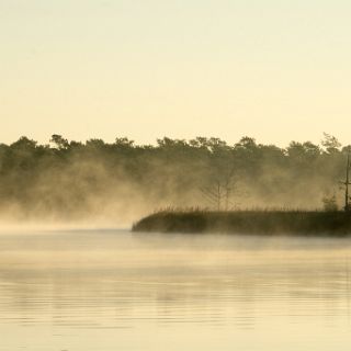 Morning mist over the Ochlockonee river. : Ochlockonee trip