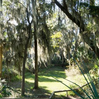 At San Marcos de Apalache Historic State Park : Ochlockonee trip