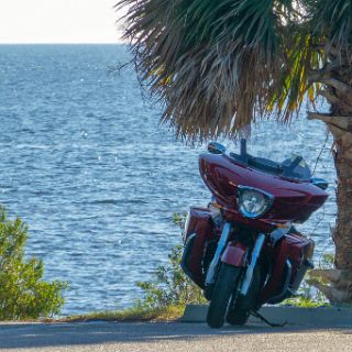 End of the road at St. Marks Lighthouse : Ochlockonee trip