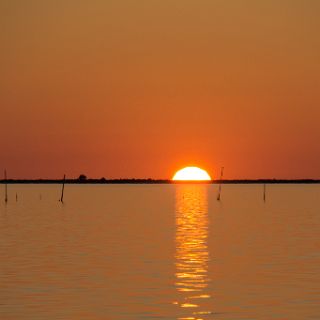 Sunset t Alligator Harbor : Ochlockonee trip