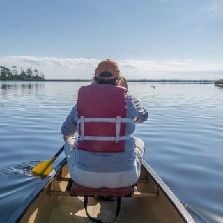 A Canoe trail journey : Ochlockonee trip