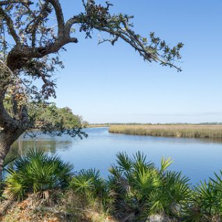 A Canoe trail journey : Ochlockonee trip