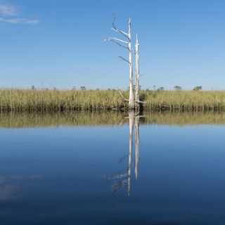 A Canoe trail journey : Ochlockonee trip